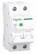 Schneider automaat 2p/16a