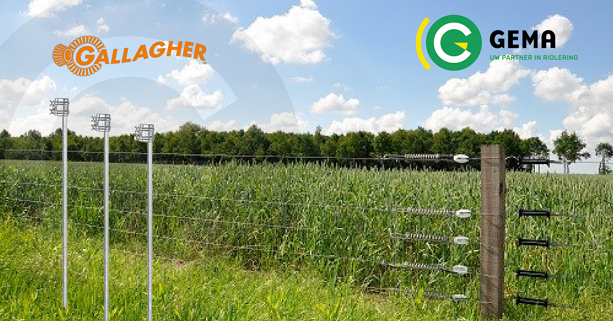 Gallagher aardpen 0,5m 3m kabel - Van Lieshout Dier & Tuin